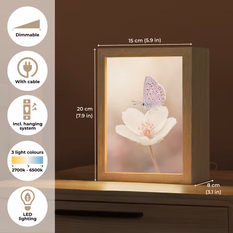 Vlinder - Bloem - Blauw Light Box met kabel (Tafellamp) klein -USP_EN