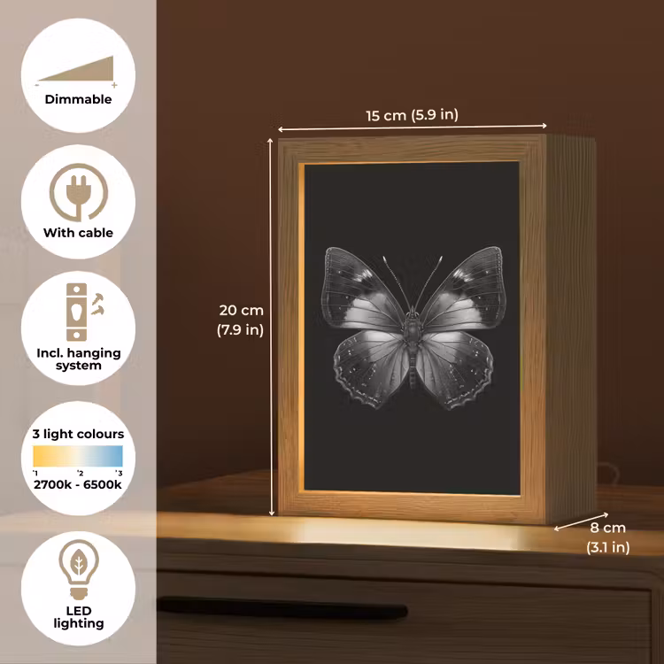 Vlinder - Grijs - Mysterieus Light Box met kabel (Tafellamp) klein -USP_EN