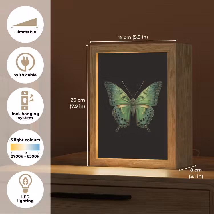 Vlinder - Groen - Diepte Light Box met kabel (Tafellamp) klein -USP_EN