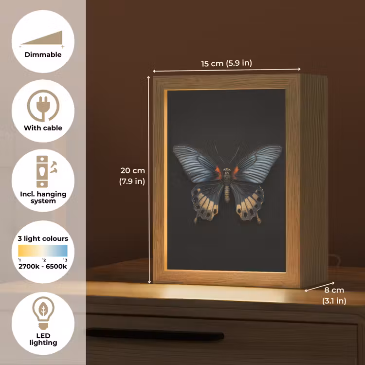 Vlinder - Metaalachtig - Geometrisch patroon Light Box met kabel (Tafellamp) klein -USP_EN