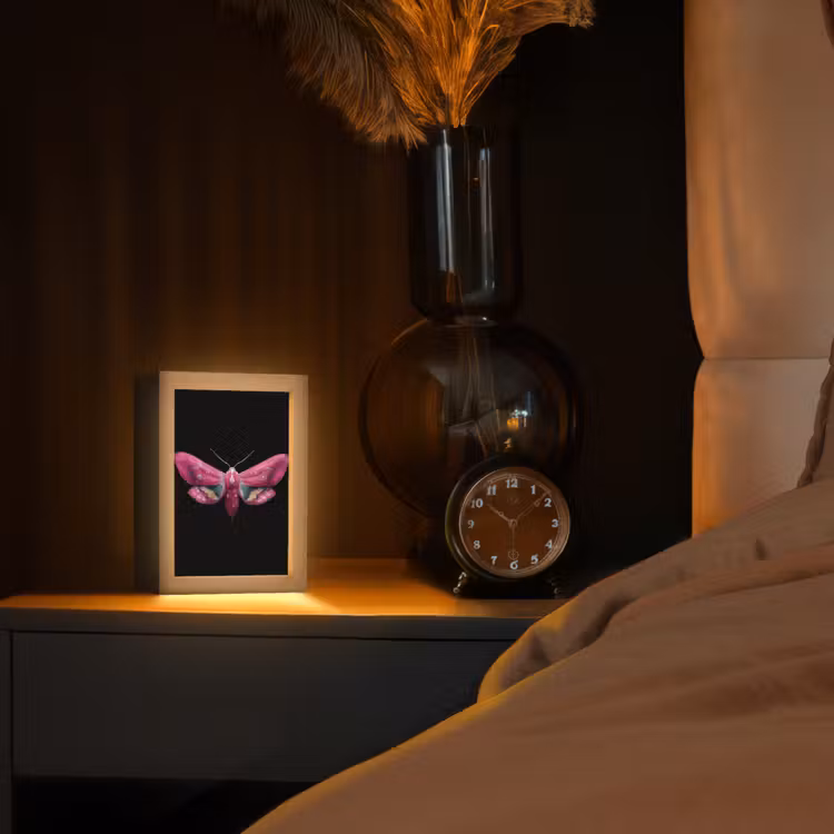 Vlinder - Roze - Nachtvlinder Light Box met kabel (Tafellamp) klein -sfeer1
