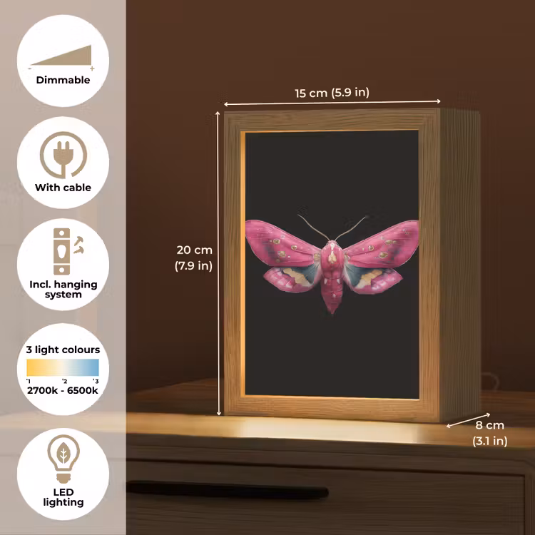 Vlinder - Roze - Nachtvlinder Light Box met kabel (Tafellamp) klein -USP_EN