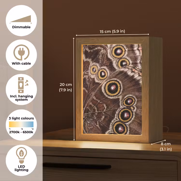 Vlinder - Vleugel - Abstract Light Box met kabel (Tafellamp) klein -USP_EN