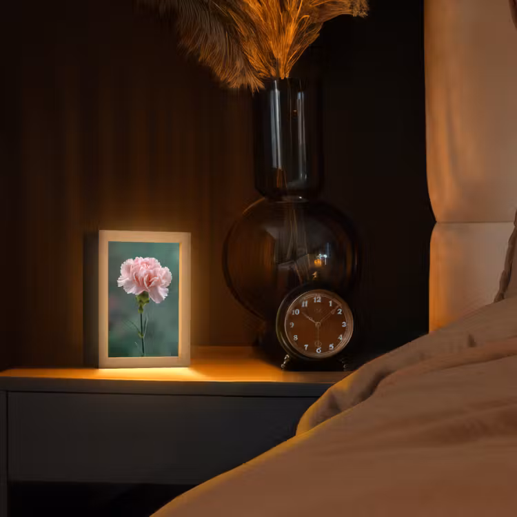 Anjer - Roze - Bloemblaadjes Light Box met kabel (Tafellamp) klein -sfeer1