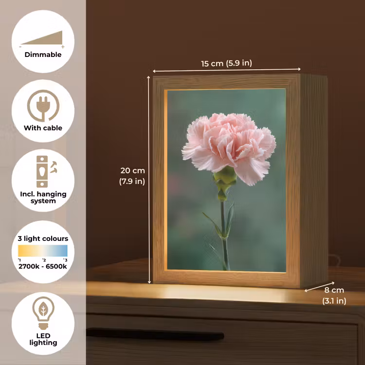 Anjer - Roze - Bloemblaadjes Light Box met kabel (Tafellamp) klein -USP_EN