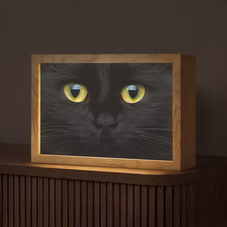 Kat - Zwart - Dieren - Natuur Light Box met kabel (Tafellamp) klein -z3d_website
