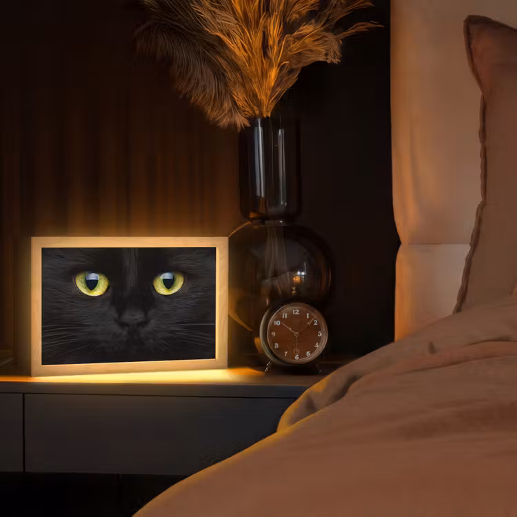 Kat - Zwart - Dieren - Natuur Light Box met kabel (Tafellamp) klein -sfeer1