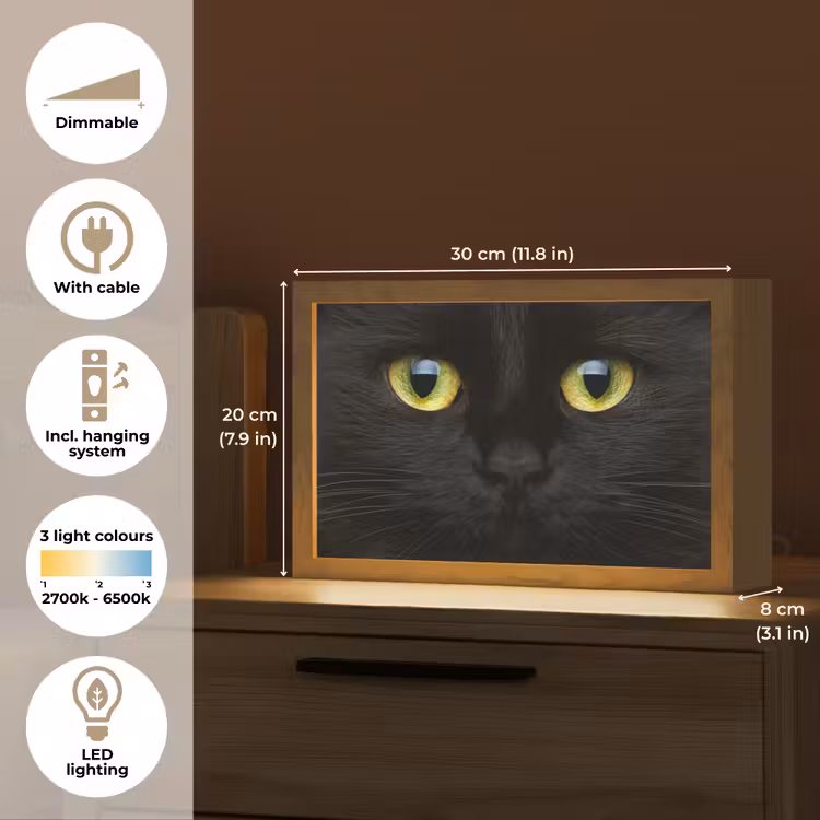 Kat - Zwart - Dieren - Natuur Light Box met kabel (Tafellamp) klein -USP_EN
