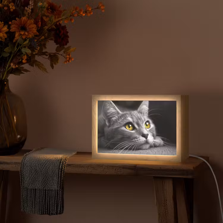 Kat - Zwart - Wit - Dieren - Natuur Light Box met kabel (Tafellamp) klein -sfeer4