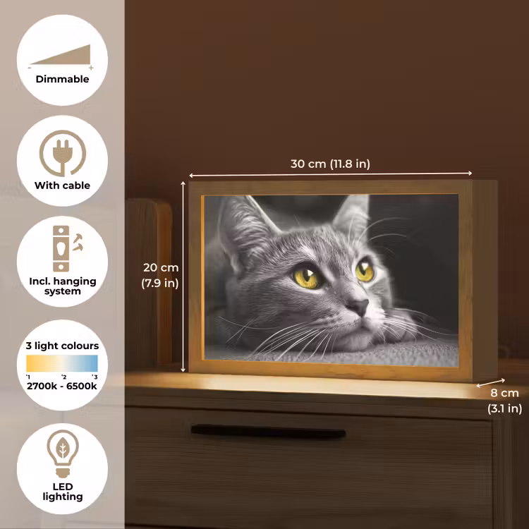Kat - Zwart - Wit - Dieren - Natuur Light Box met kabel (Tafellamp) klein -USP_EN