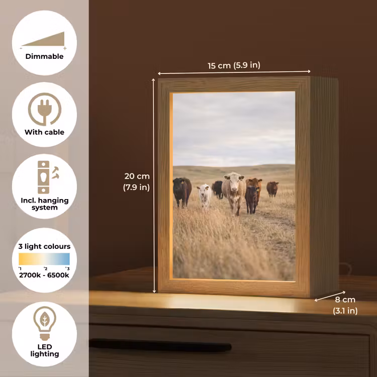 Runderen - Kudde - Landschap - Weide - Rustig Light Box met kabel (Tafellamp) klein -USP_EN