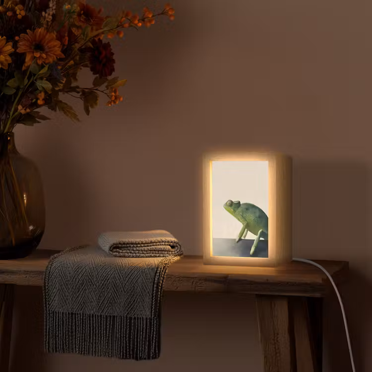 Kameleon - Groen - Minimalistisch Light Box met kabel (Tafellamp) klein -sfeer4