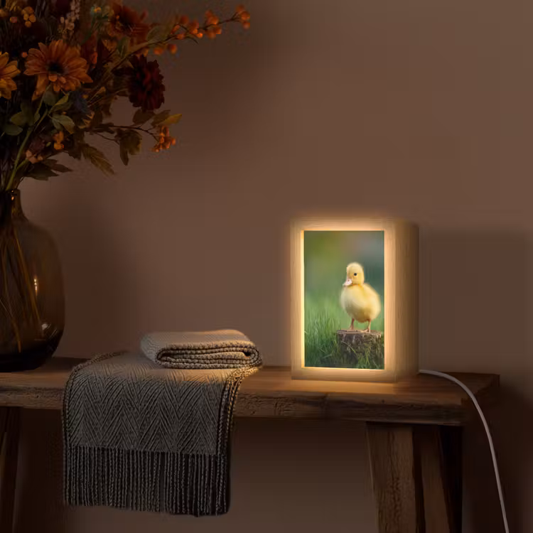 Kuiken - Eend - Geel - Gras Light Box met kabel (Tafellamp) klein -sfeer4