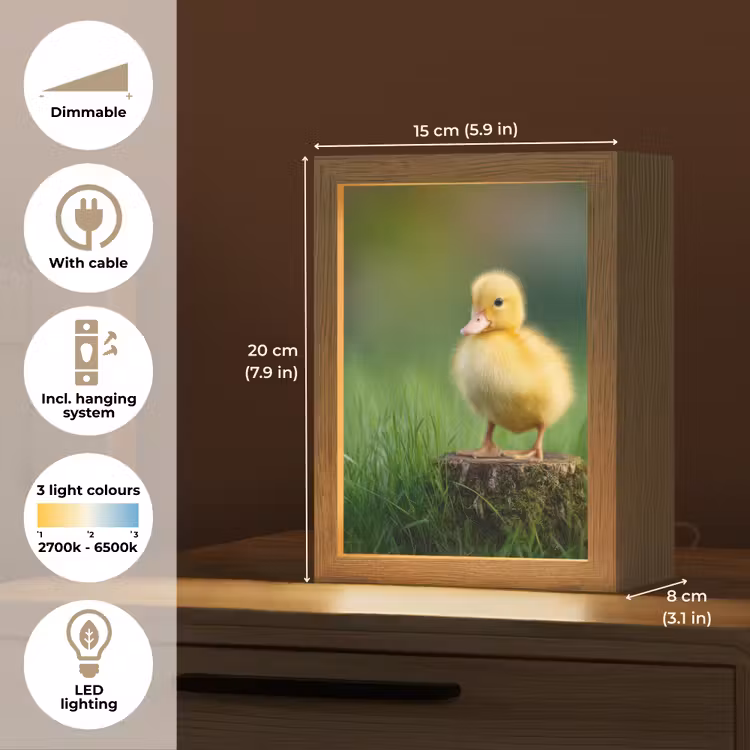 Kuiken - Eend - Geel - Gras Light Box met kabel (Tafellamp) klein -USP_EN