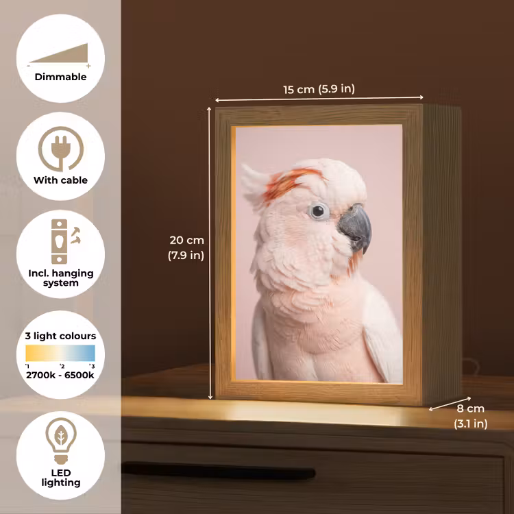 Kaketoe - Portret - Roze Light Box met kabel (Tafellamp) klein -USP_EN