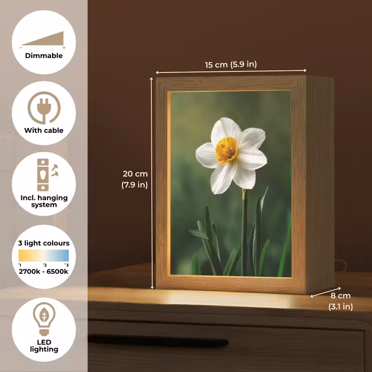 Narcis - Bloem - Wit - Grassprieten Light Box met kabel (Tafellamp) klein -USP_EN