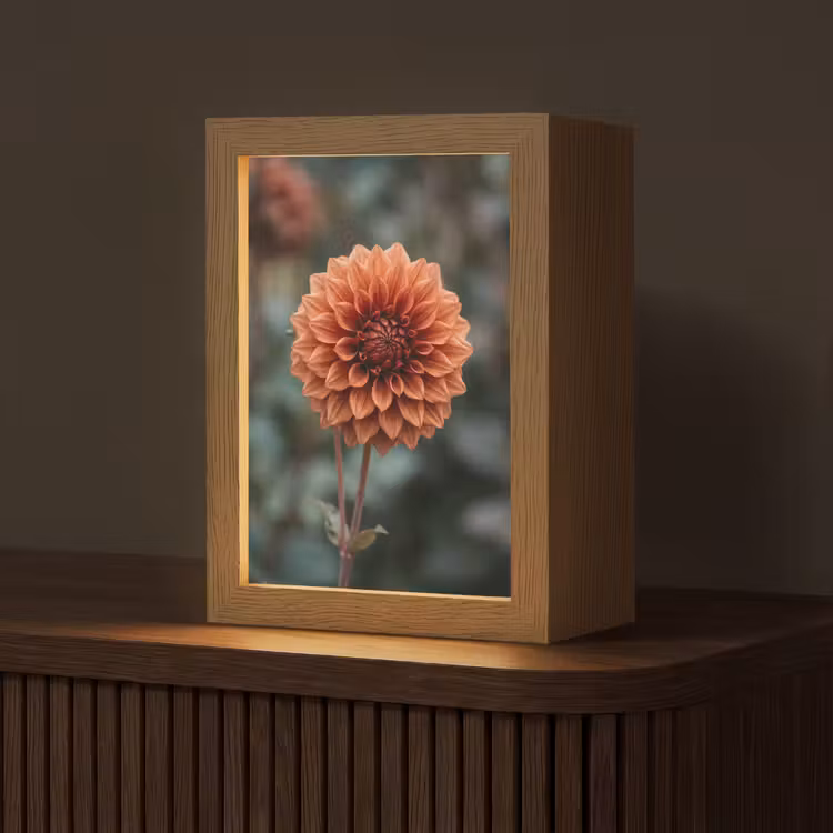Dahlia - Bloem - Natuur - Sfeervol Light Box met kabel (Tafellamp) klein -z3d_website