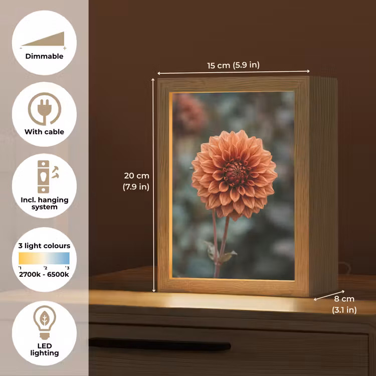 Dahlia - Bloem - Natuur - Sfeervol Light Box met kabel (Tafellamp) klein -USP_EN