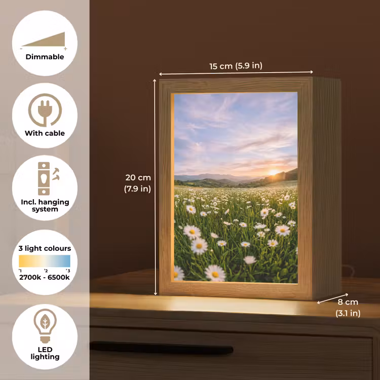 Madelief - Veld - Heuvels - Groen Light Box met kabel (Tafellamp) klein -USP_EN