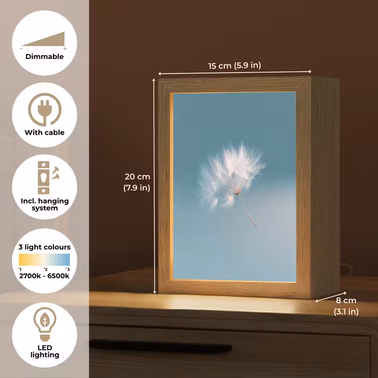 Paardenbloempluisje - Blauw - Lucht Light Box met kabel (Tafellamp) klein -USP_EN