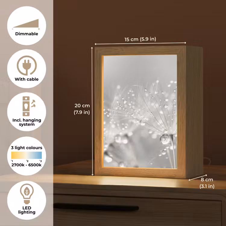 Paardenbloem - Waterdruppels - Stilleven - Modern Light Box met kabel (Tafellamp) klein -USP_EN