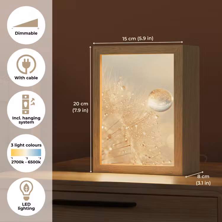 Paardenbloem - Water - Natuur - Planten - Modern Light Box met kabel (Tafellamp) klein -USP_EN