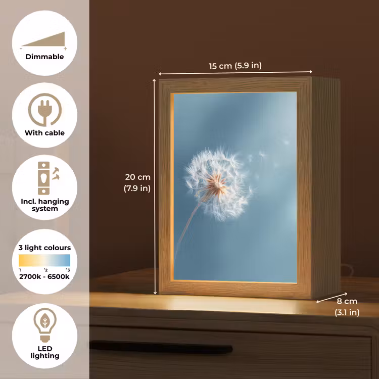 Paardenbloem - Wind - Blauw Light Box met kabel (Tafellamp) klein -USP_EN