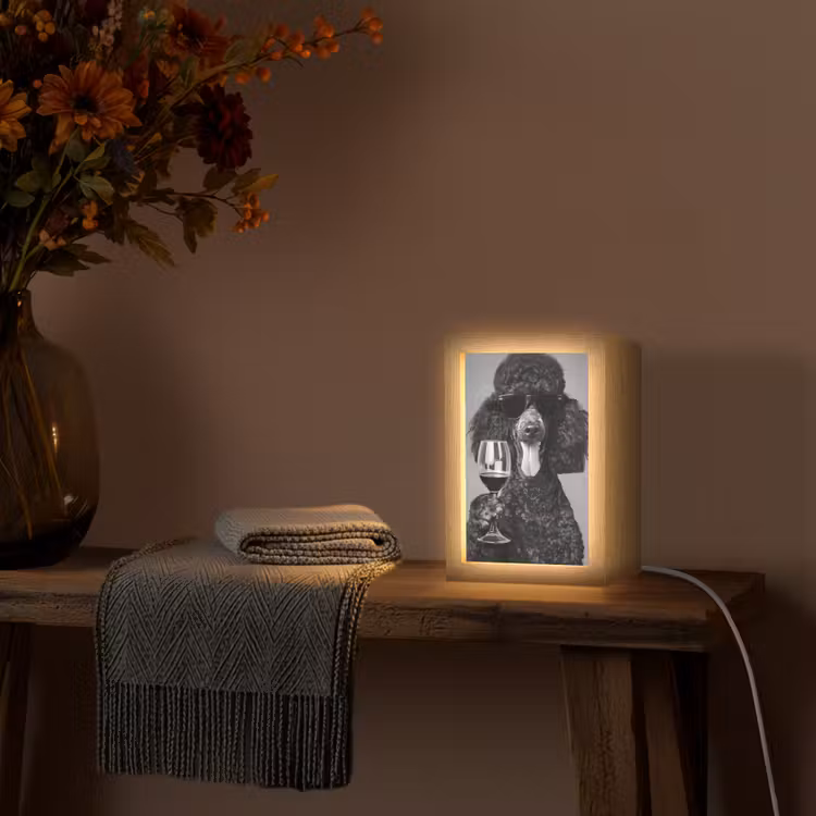 Hond - Krullen - Zonnebril - Wijn Light Box met kabel (Tafellamp) klein -sfeer4