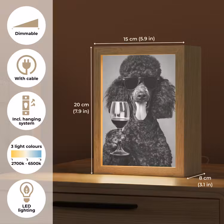 Hond - Krullen - Zonnebril - Wijn Light Box met kabel (Tafellamp) klein -USP_EN