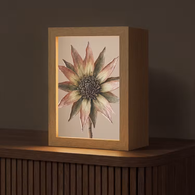 Droogbloem - Protea - Vintage - Beige - Rustiek Light Box met kabel (Tafellamp) klein -z3d_website