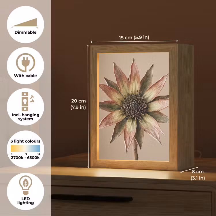 Droogbloem - Protea - Vintage - Beige - Rustiek Light Box met kabel (Tafellamp) klein -USP_EN