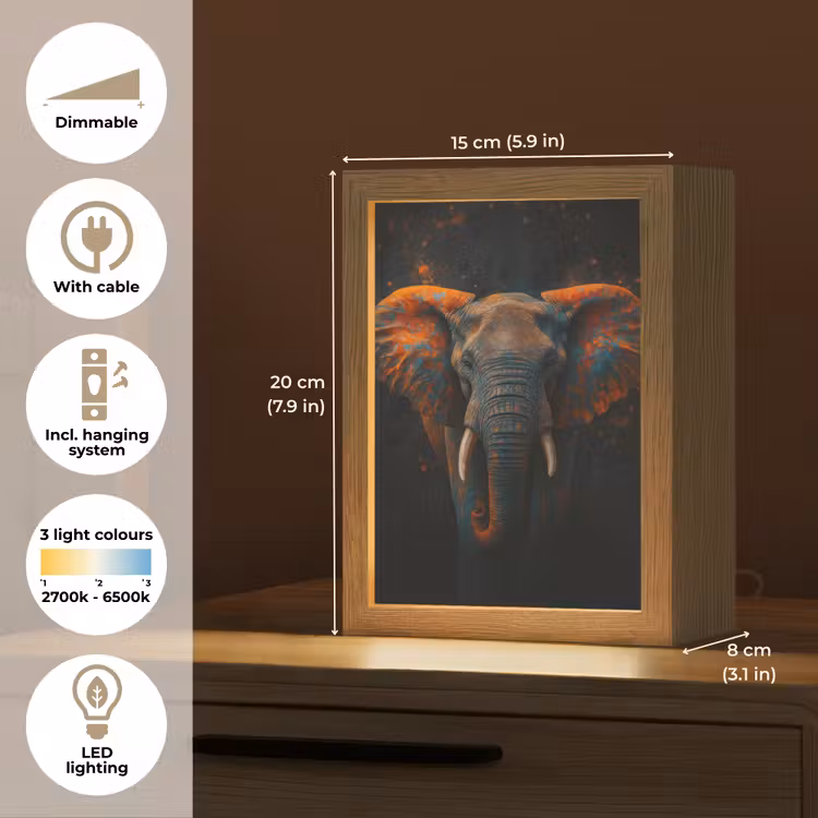 Olifant - Oranje - Oren Light Box met kabel (Tafellamp) klein -USP_EN