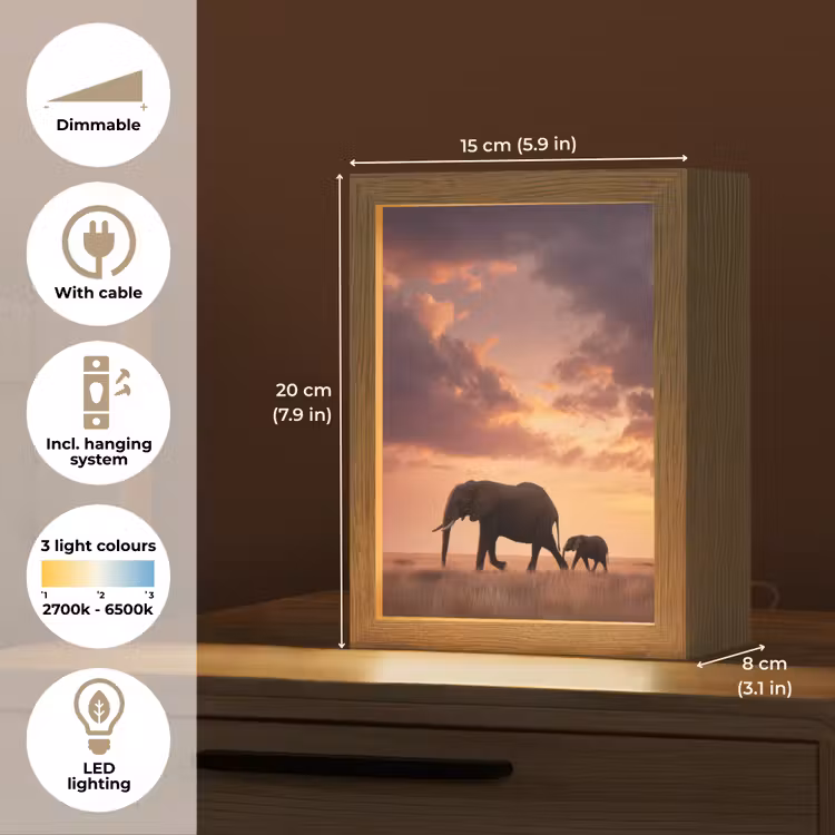 Olifanten - Grasland - Zonsondergang Light Box met kabel (Tafellamp) klein -USP_EN