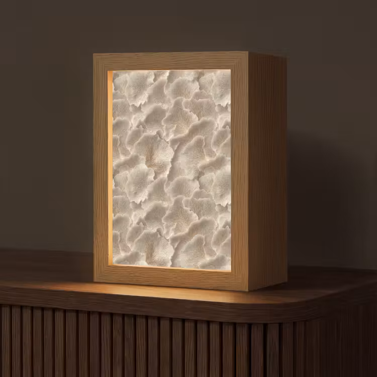 Waaierstructuren - Beige - Vezeltextuur Light Box met kabel (Tafellamp) klein 925 -z3d_website