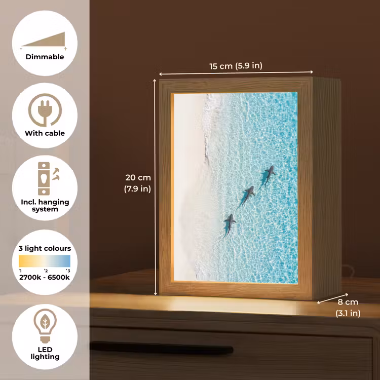 Vis - Oceaan - Strand - Turquoise - Natuur Light Box met kabel (Tafellamp) klein -USP_EN