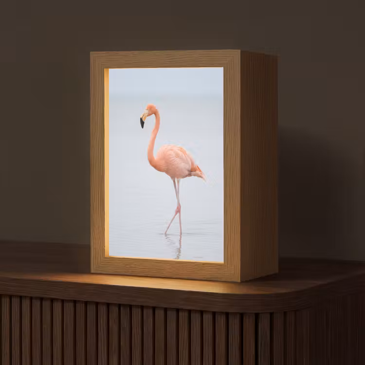 Flamingo - Zee - Roze Light Box met kabel (Tafellamp) klein -z3d_website