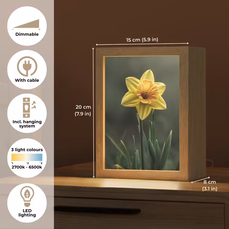 Bloem - Narcis - Gras - Geel Light Box met kabel (Tafellamp) klein -USP_EN