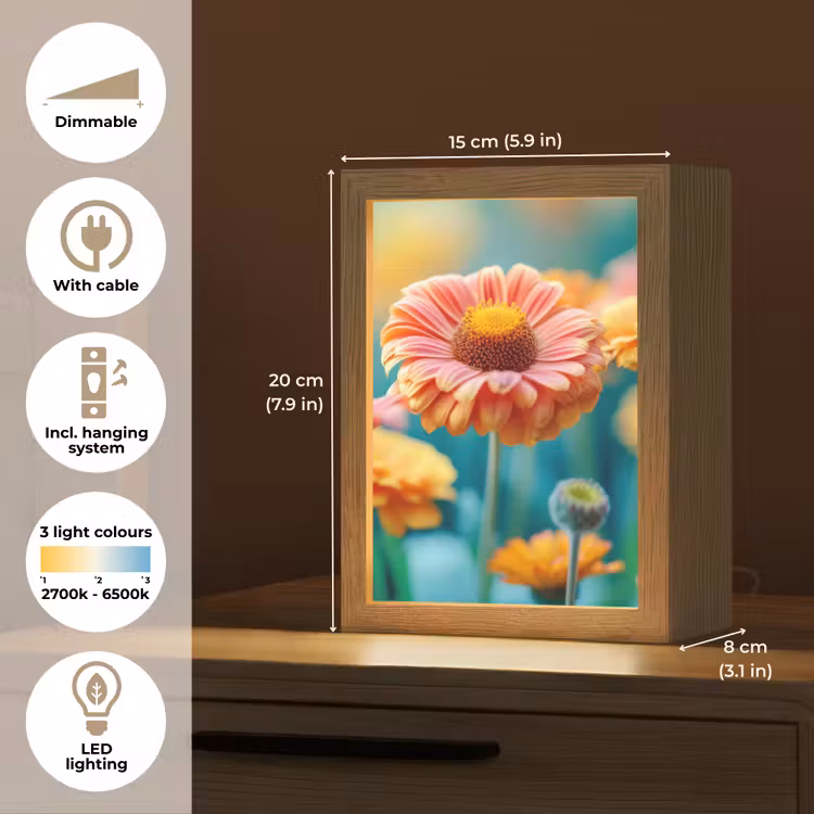 Bloemen - Kleurrijk - Natuur - Gerbera Light Box met kabel (Tafellamp) klein -USP_EN