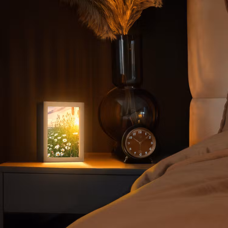 Bloemen - Madelief - Natuur - Zon - Horizon Light Box met kabel (Tafellamp) klein -sfeer1