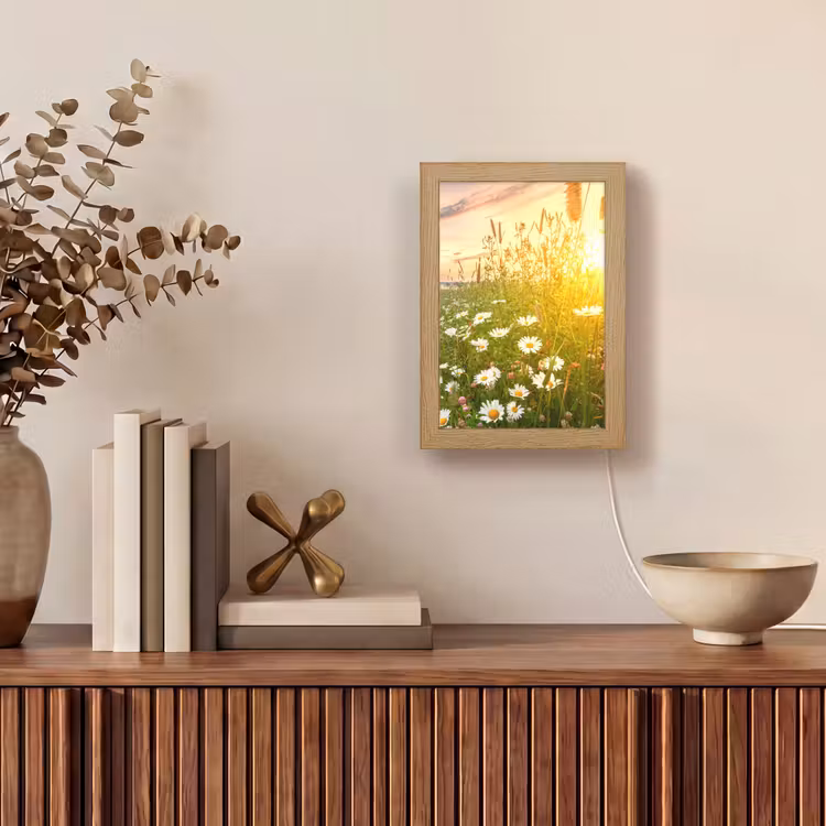 Bloemen - Madelief - Natuur - Zon - Horizon Light Box met kabel (Tafellamp) klein -sfeer2