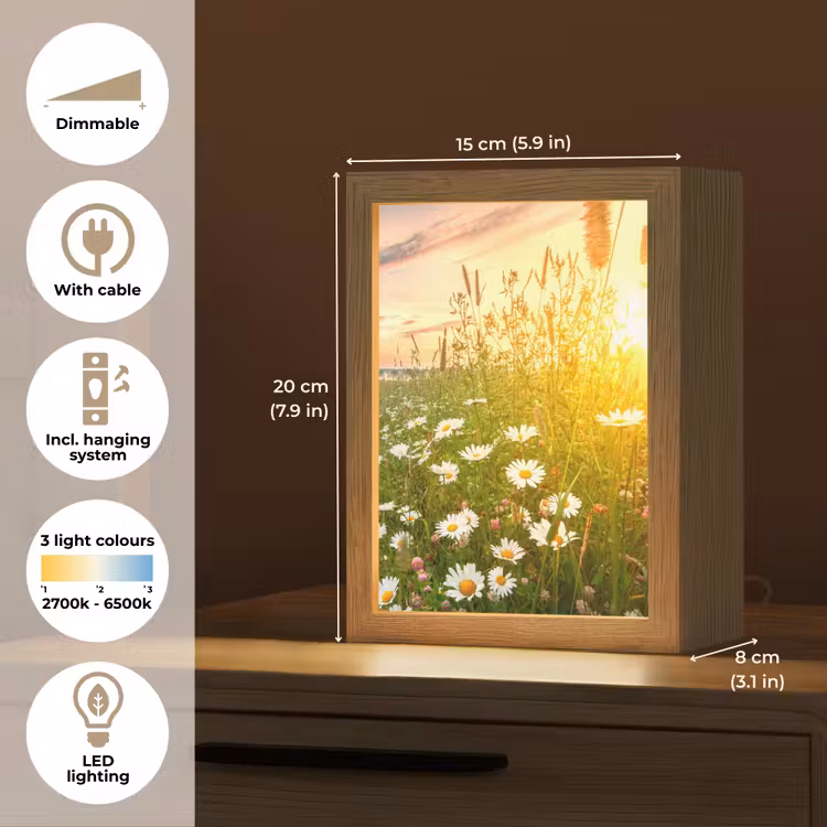 Bloemen - Madelief - Natuur - Zon - Horizon Light Box met kabel (Tafellamp) klein -USP_EN