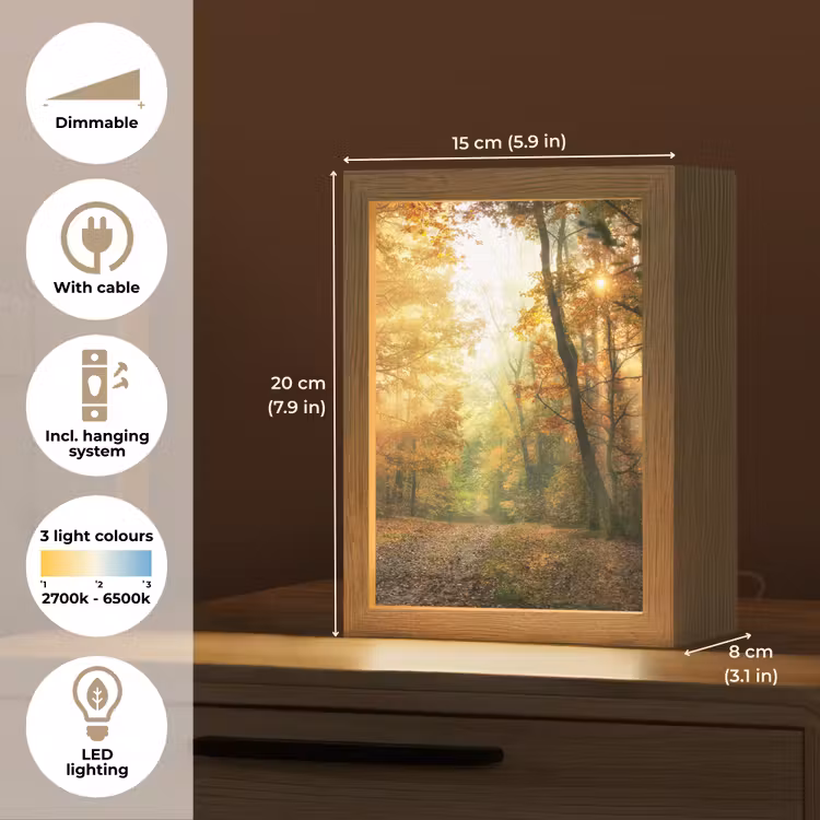 Bos - Herfst - Zon - Landschap - Natuur - Bomen - Bladeren Light Box met kabel (Tafellamp) klein -USP_EN