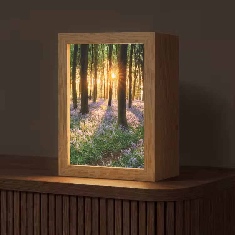 Bos - Bloemen - Lavendel - Zon - Paars - Natuur Light Box met kabel (Tafellamp) klein -z3d_website
