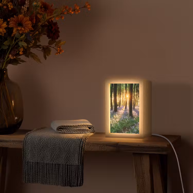 Bos - Bloemen - Lavendel - Zon - Paars - Natuur Light Box met kabel (Tafellamp) klein -sfeer4