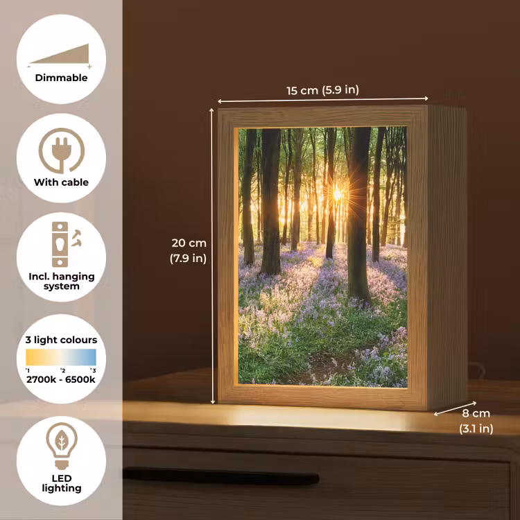 Bos - Bloemen - Lavendel - Zon - Paars - Natuur Light Box met kabel (Tafellamp) klein -USP_EN