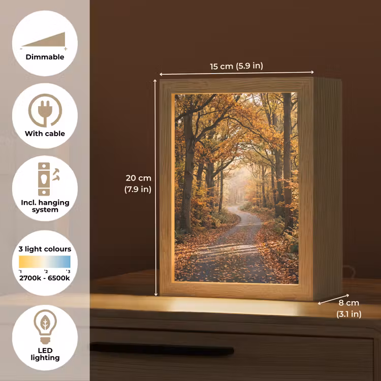Bospad - Herfstbos - Bladeren - Oranje - Nostalgisch Light Box met kabel (Tafellamp) klein -USP_EN