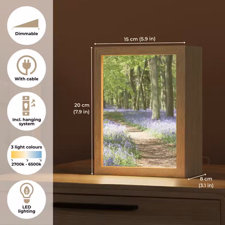 Bos - Pad - Bloemen - Paars - Groen - Natuur Light Box met kabel (Tafellamp) klein -USP_EN