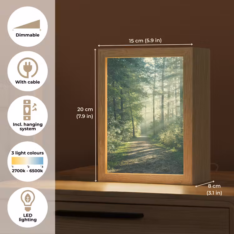 Bos - Pad - Zon - Bomen - Groen - Natuur Light Box met kabel (Tafellamp) klein -USP_EN