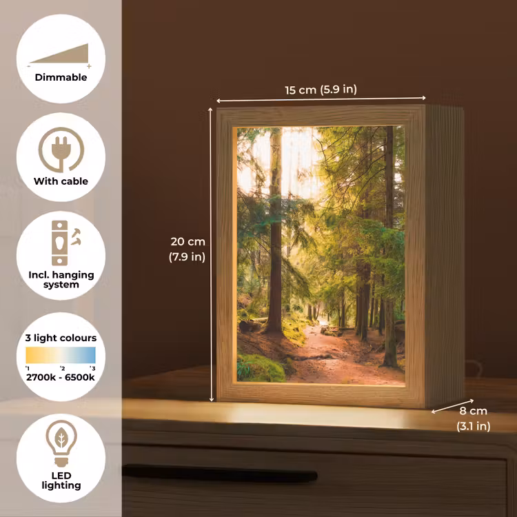 Bos - Pad - Bomen - Groen - Zon - Natuur Light Box met kabel (Tafellamp) klein -USP_EN