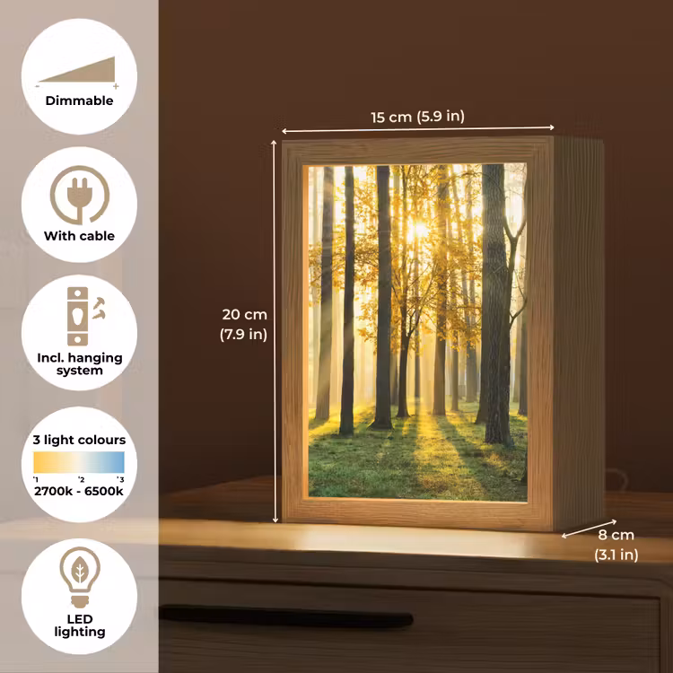 Bos - Zon - Bomen - Gras - Landschap - Natuur Light Box met kabel (Tafellamp) klein -USP_EN